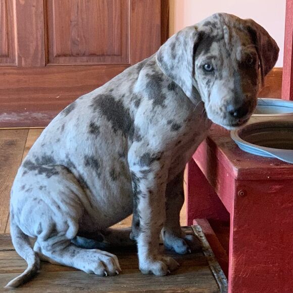 Like this listing to be notified of our lives - Picture 6 of 6